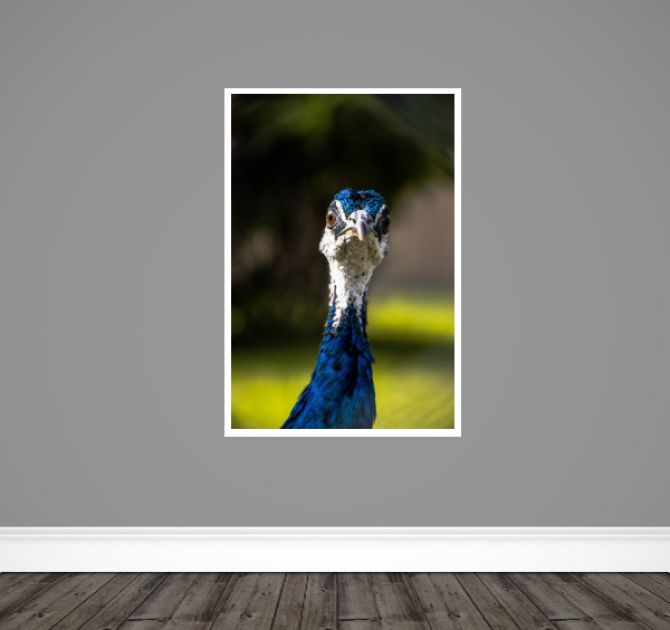 https://lshopstatic.s3.eu-central-1.amazonaws.com/products/60000_Print Shop/Pavlin VikSanych-2.jpg