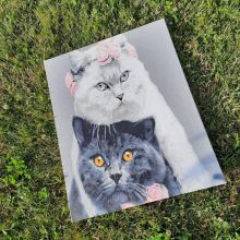 /sites/default/files/product-catalog-image/Perfect Pair of Cats - 1.jpg