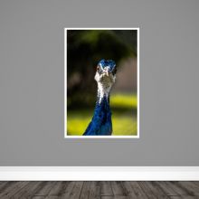 https://lshopstatic.s3.eu-central-1.amazonaws.com/products/60000_Print Shop/Pavlin VikSanych-2.jpg