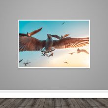 /sites/default/files/product-image/Seagulls Print - 2_0.jpg