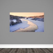 /sites/default/files/product-image/landscape of forest Komi-2.jpg